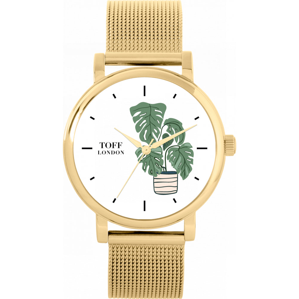 Ladies Monstera Plant Watch