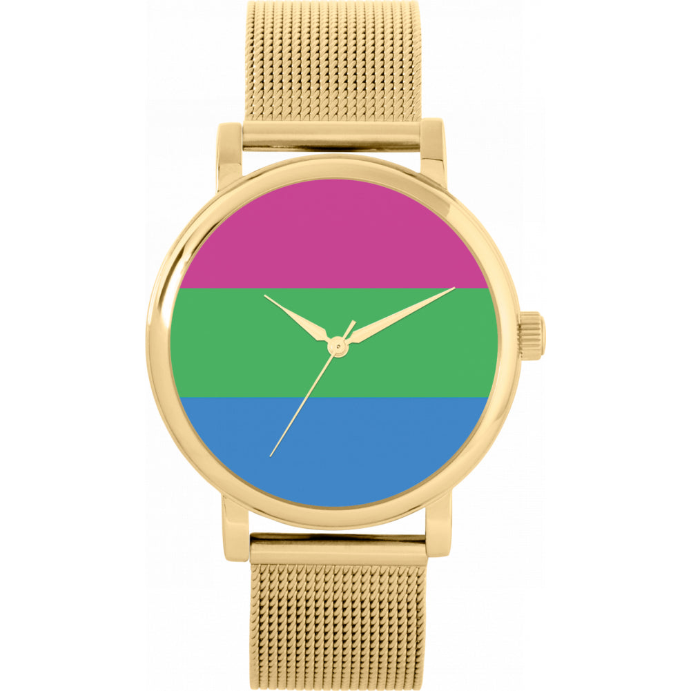 38mm Pride Polysexual Flag Watch