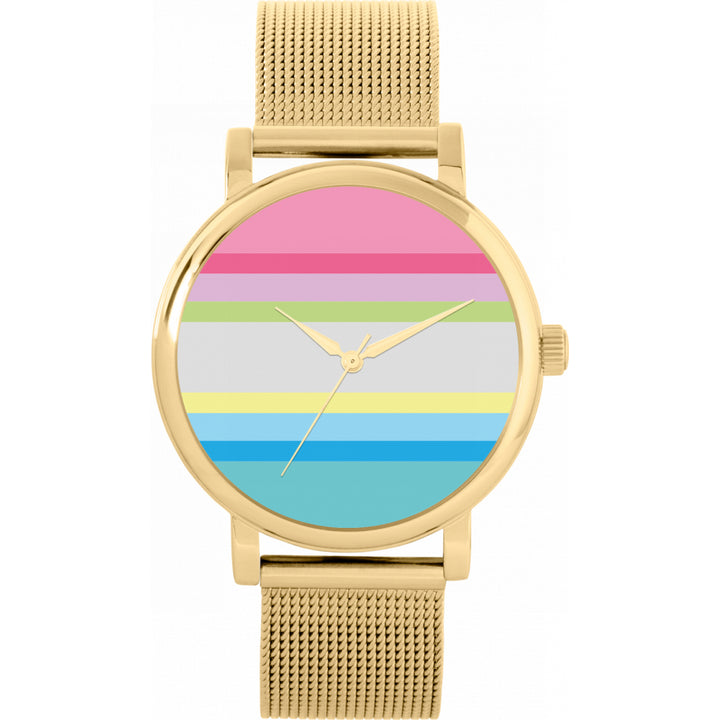 38mm Pride Gender Questioning Flag Watch