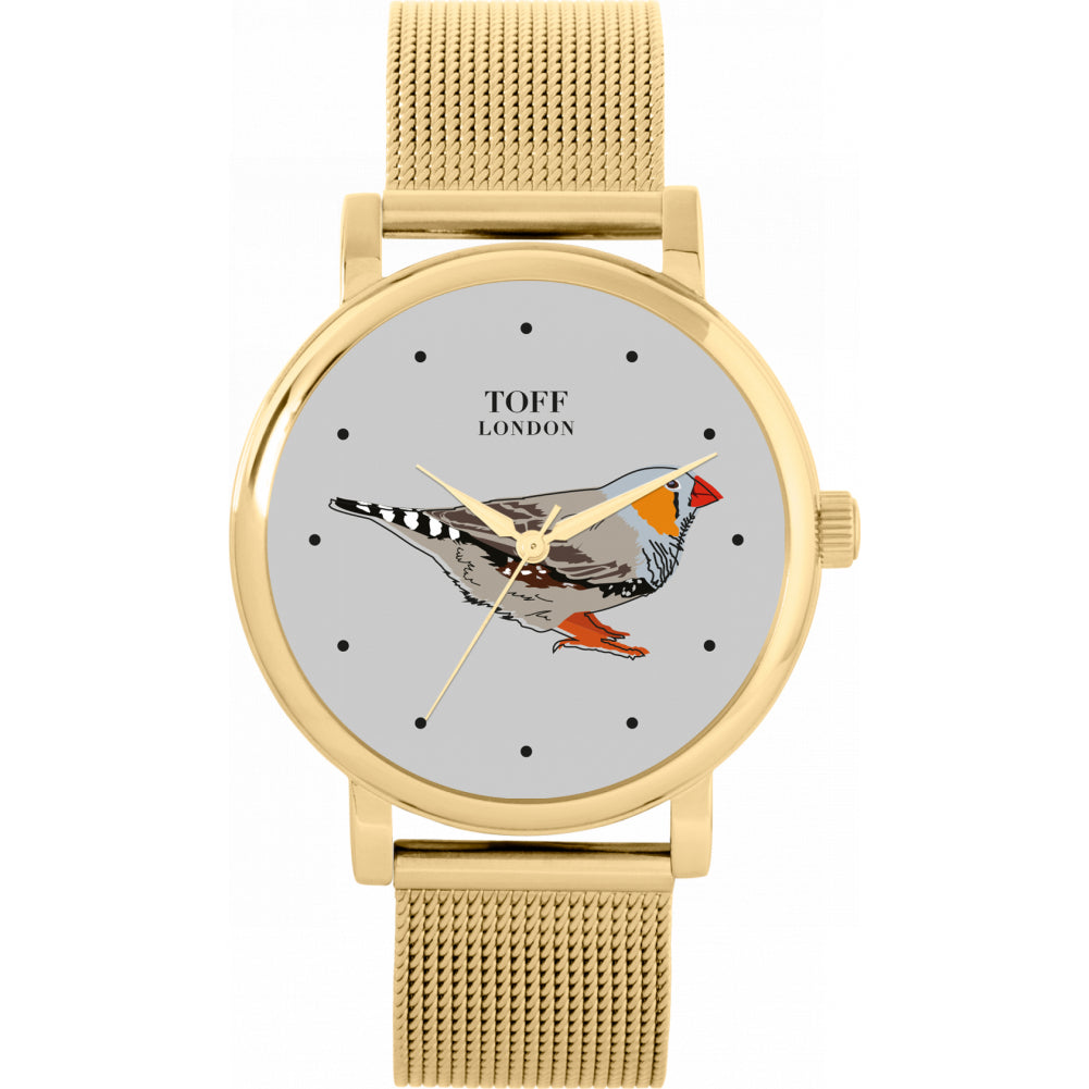 Ladies Grey Finch Bird Watch